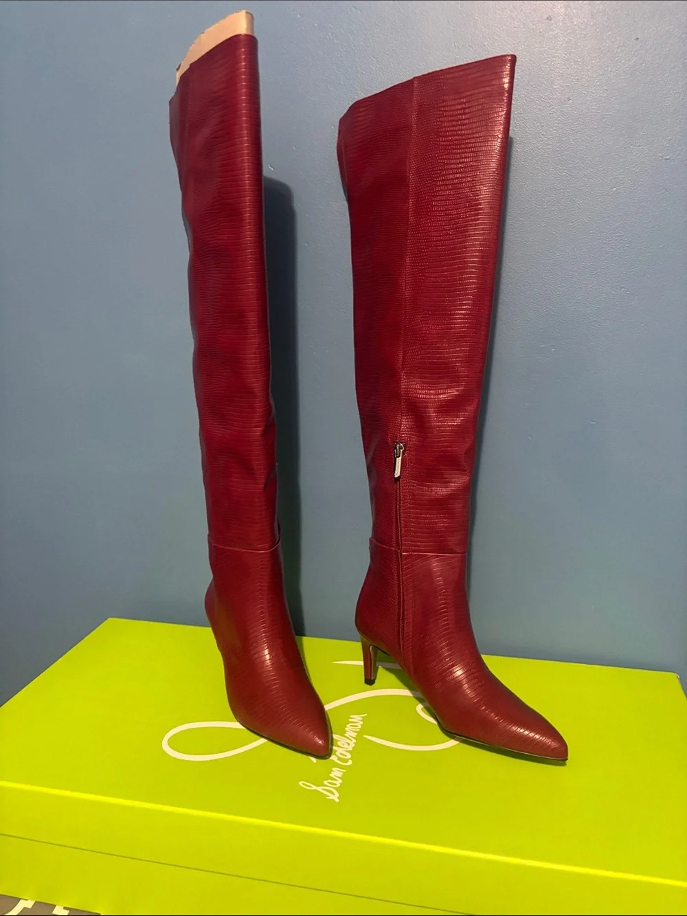 Sam Edelman Red Pointed-Toe Over-the-Knee Boots